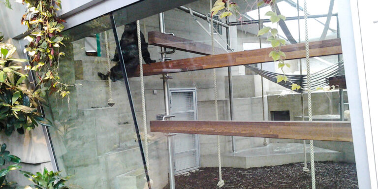 Affengehege im Zoo Wilhelma, Stuttgart, mit einer modernen Warmwasseranlage von varmeco GmbH & Co.KG, die den tierischen Bewohnern jederzeit hygienisches Wasser bietet.